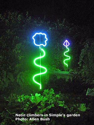 neon in simple's garden