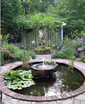 click to see pictures of allen bush's garden