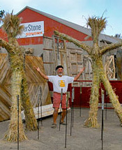 image of simple at the late show gardens event'></a>
    </div>
      <p style=